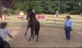 dr dolittle 3-avi_514.jpg